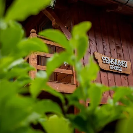 Guest house George Gura Raului